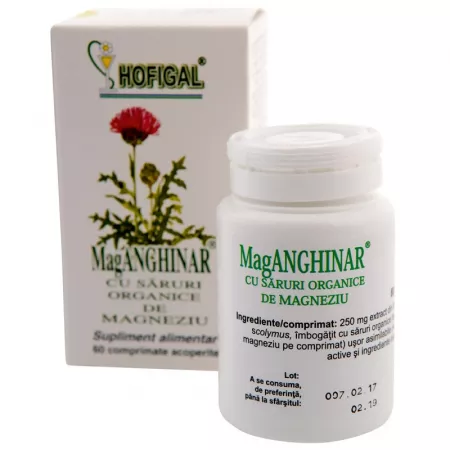 AFECTIUNI HEPATO-BILIARE - Supliment alimentar MagAnghinar, 60 comprimate, Hofigal