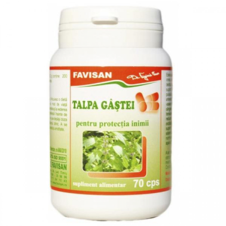 SISTEMUL CARDIOVASCULAR - TALPA GASTEI