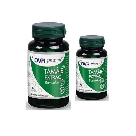 ARTICULATII OASE MUSCHI - Tamaie Extract Pachet 60 capsule + 30 capsule DVR Pharm