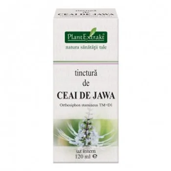 ARTICULATII OASE MUSCHI - Tinctura de CEAI DE JAWA