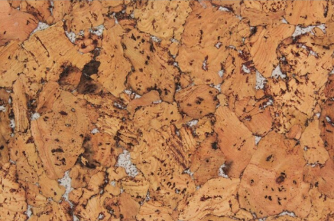 Cork tiles 60x30 cm - Condor White Decorative Cork Tiles, 600 × 300 × 3 mm, 1.98 m² Pack