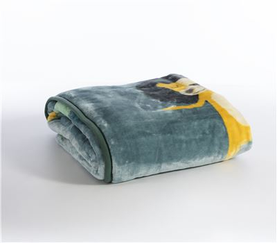 Pătură pentru copii, mărime individuală, Wild Dance, 160x220 [2]