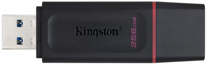 MEMORIE USB 3.2 KINGSTON 256 GB - DTX/256GB [3]