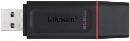 MEMORIE USB 3.2 KINGSTON 256 GB - DTX/256GB [2]