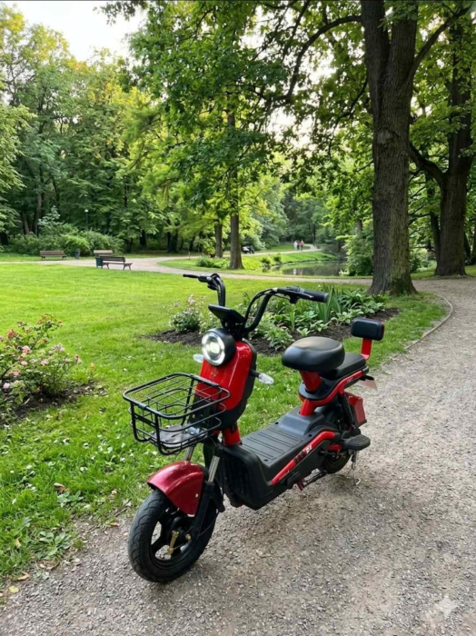 bicicletă electrică [2]