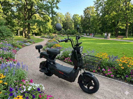 Produse - bicicletă electrică