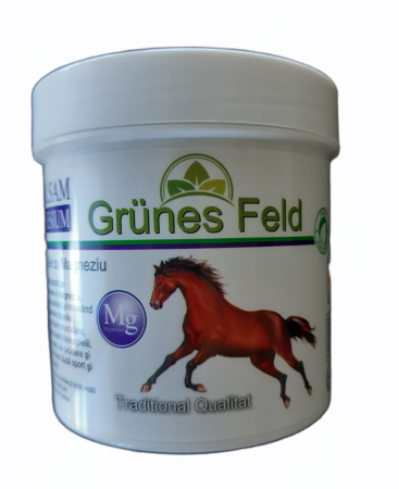 Ingrijire personala si Cosmetice - Gel activ Puterea Calului cu Magneziu, 250ml