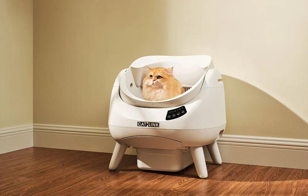 Cutie de nisip inteligentă cu autocurățare Catlink Open X (albă) [4]