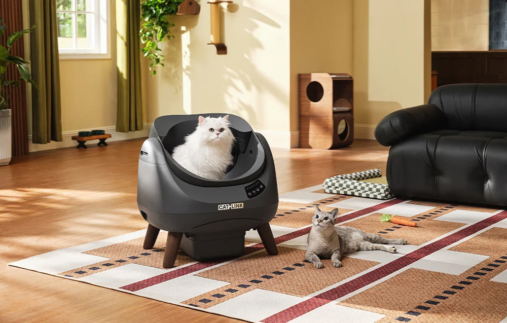 Cutie de nisip inteligentă cu autocurățare Catlink Open X (gri) [3]