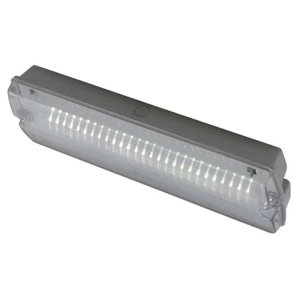 Iluminat de emergenta - Corp iluminat de emergenta cu LED , 3W, 6500K, autonomie 3H,  167LM , montaj aplicat, IP65, IK08, GUARDIAN