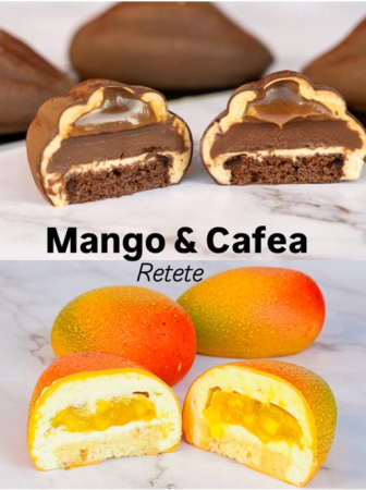 Cursuri Online - E-book Mango si Cafea - entremets rafinate