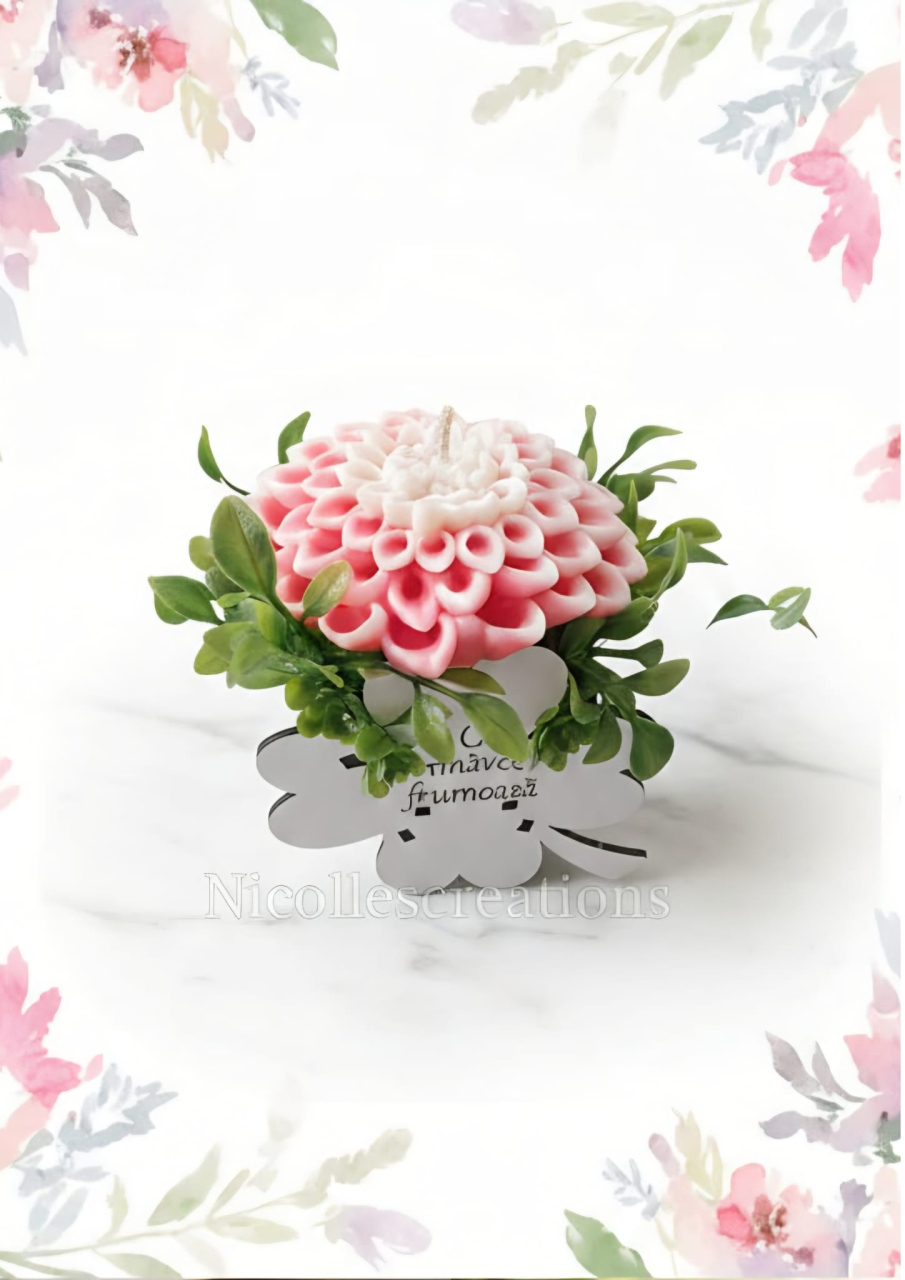 Dalie „O primăvară frumoasă” – Mărțișor & Ziua Femeii [2]