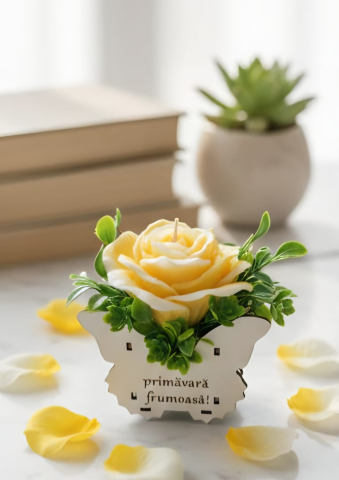 Spring Collection - Trandafir deschis