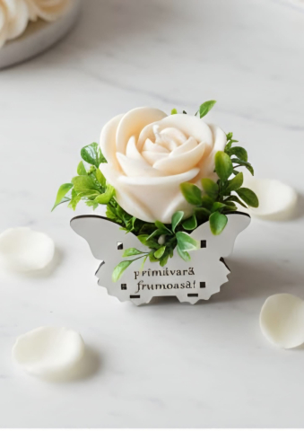 Spring Collection - Trandafir