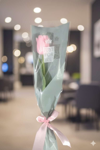 Spring Collection - Sweet Tulip