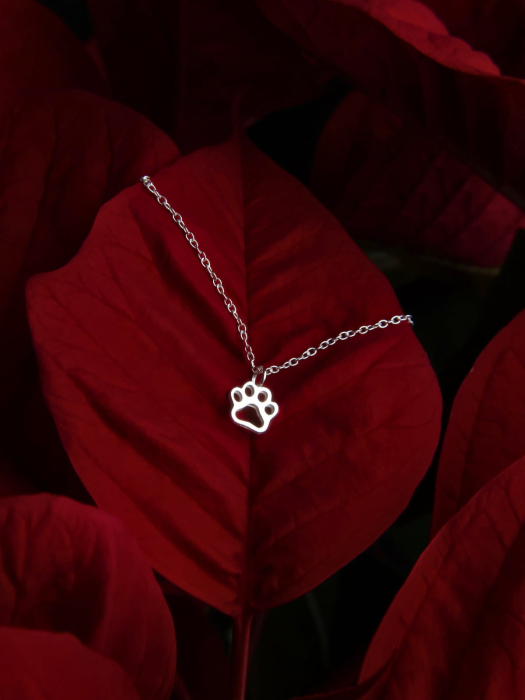 colier-labuta-catel-argint-925-simbol-afectiune [3]