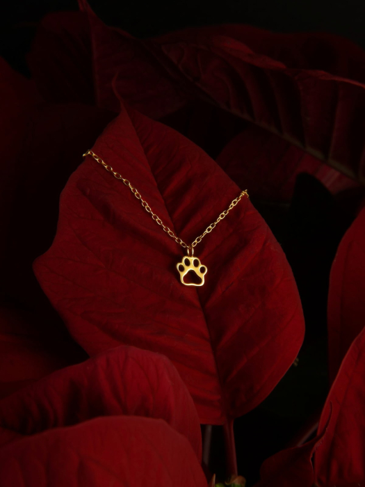 colier-labuta-catel-argint-925-placat-cu-aur-simbol-afectiune [3]