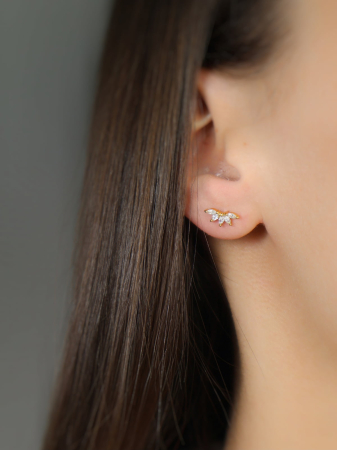 cercei-crown-aurii-argint-925-eleganta-regala-nobelini [1]