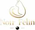 Noir Felin