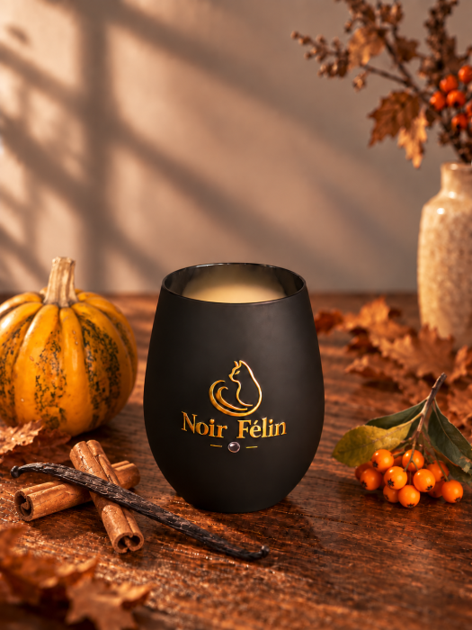 Lumânare Parfumată Pumpkin Spice – Dovleac, Nucșoară, Caramel și Vanilie – Ceară de Soia [2]