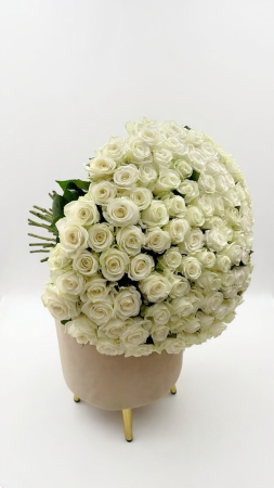 Buchete de 101 trandafiri - Buchet 101 trandafiri albi