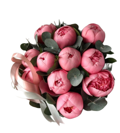 Bujori - Peonies - Bujori Roz Pink Velvet