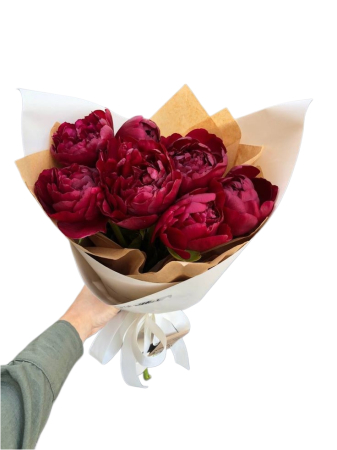 Bujori - Peonies - Bujori Rosii Red Romance