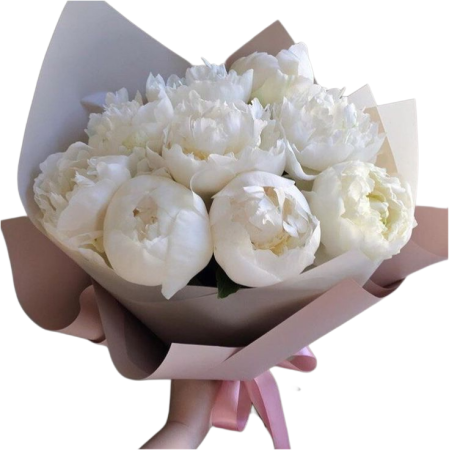 Bujori - Peonies - Bujori Albi White Pearl