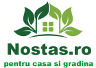 Nostas