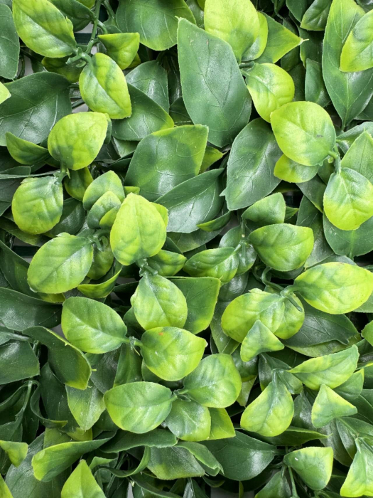 Panou Verde Din Plante Artificiale, 40cmx60cm [3]