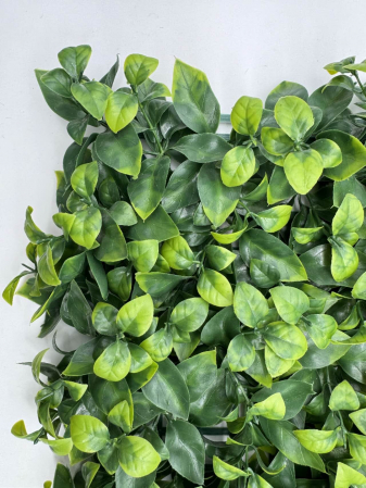 Panou Verde Din Plante Artificiale, 40cmx60cm [3]