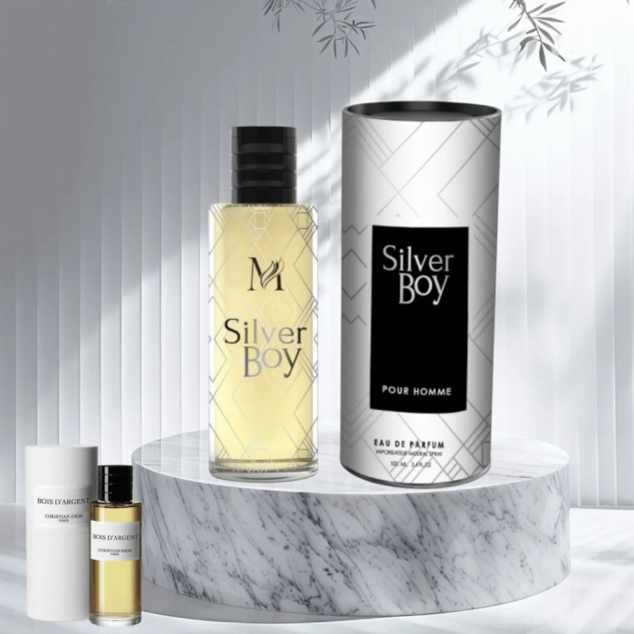 Silver Boy 100ml - Parfum, barbatesc [2]