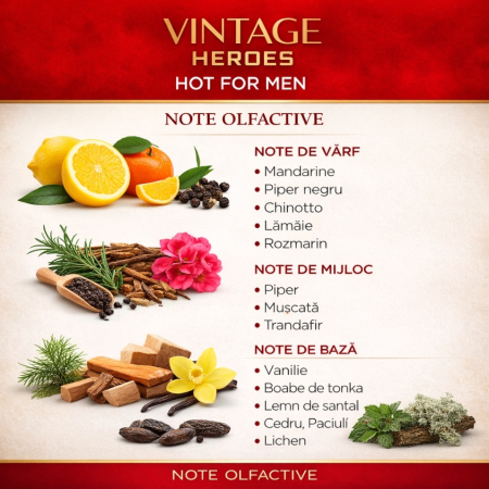 Parfum Vintage Heroes – inspirat din Versace Eros | Apă de Toaletă 100 ml pentru bărbați | Montage Brands [2]