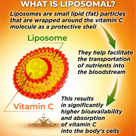 Vitamina C Lipozomala 1000mg Vitabolic 60cps | NutritionShop [2]
