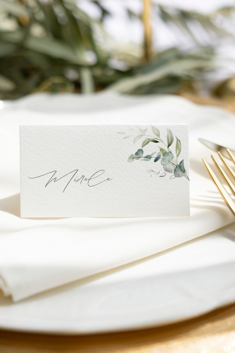 Place card tip carte [6]