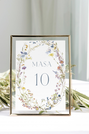 NUMERE DE MASĂ - Număr masă 01