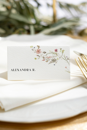 PLACE CARDS - Place card tip carte