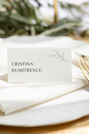 Place card tip carte [6]
