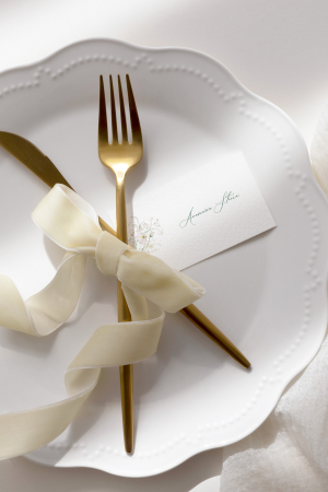 Eticheta invitat [4]