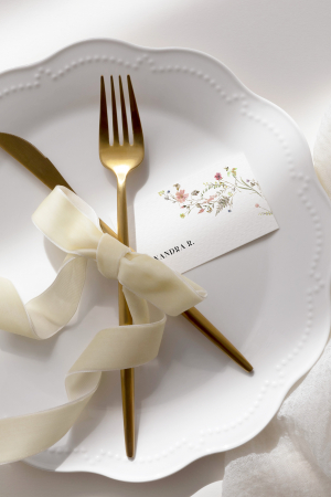 Eticheta invitat [1]