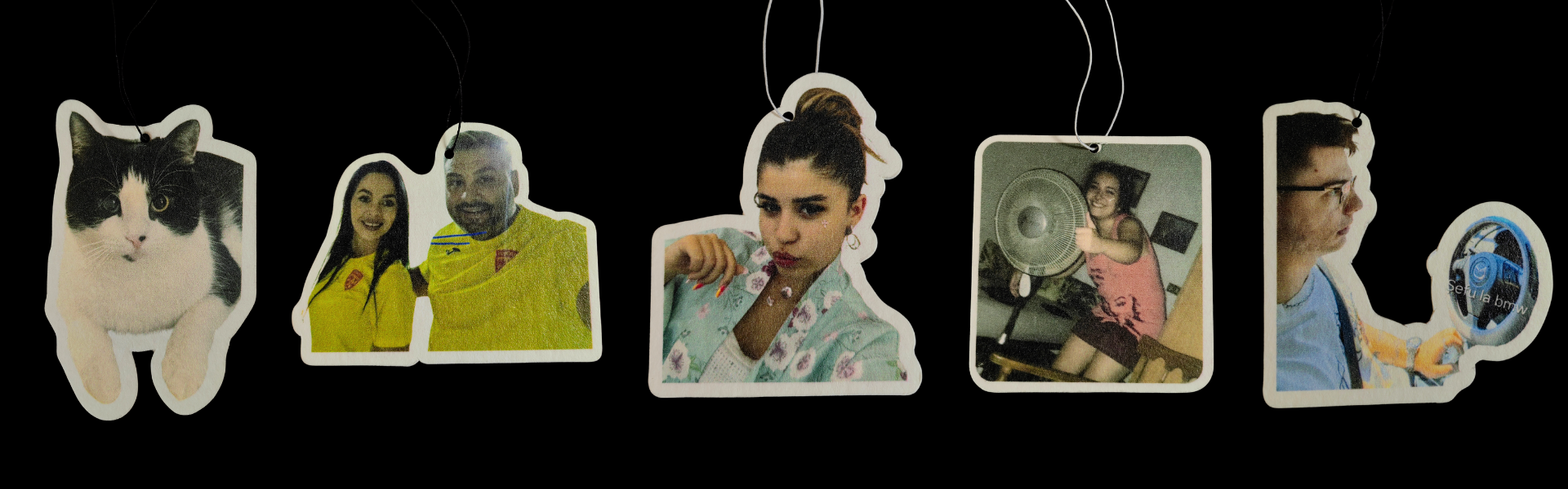 Galerie imagini