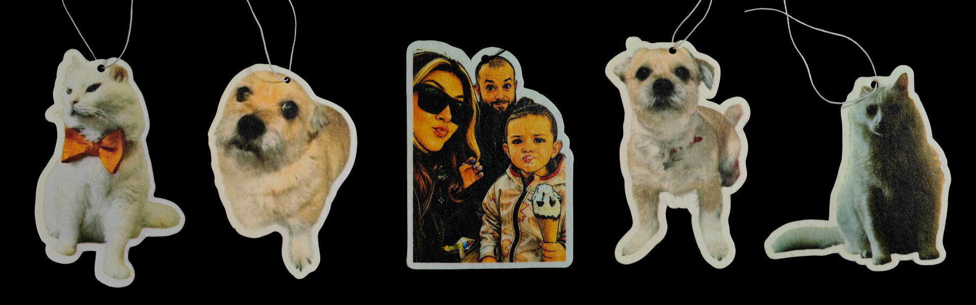 Galerie imagini