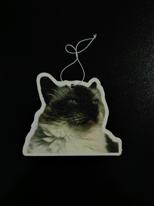 Odorizant Auto Personalizat [5]