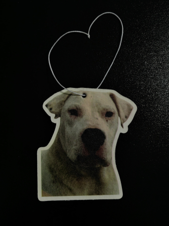 Odorizante Auto Personalizate - Odorizant Auto Personalizat