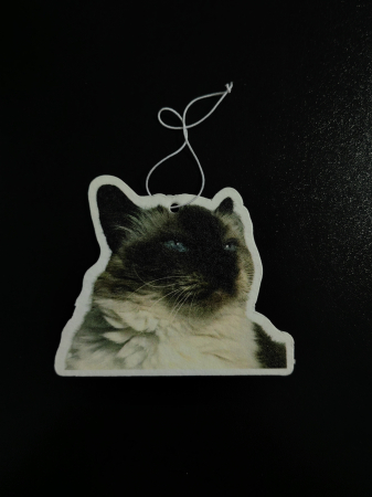 Odorizant Auto Personalizat [4]