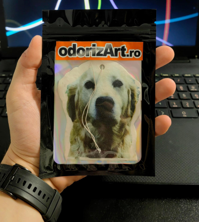 Odorizant Auto Personalizat [5]