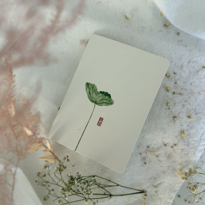 GARDEN ROZE- Felicitare cu Mărțișor Bijuterie cu un trandafir natural roz [6]