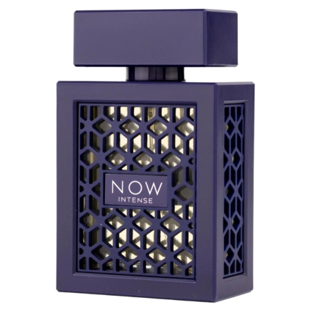 Rave Now Intense - Apa de Parfum Pentru Barbati 100ml [1]
