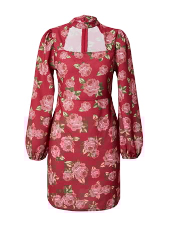 ROCHII - DOROTHY PERKINS