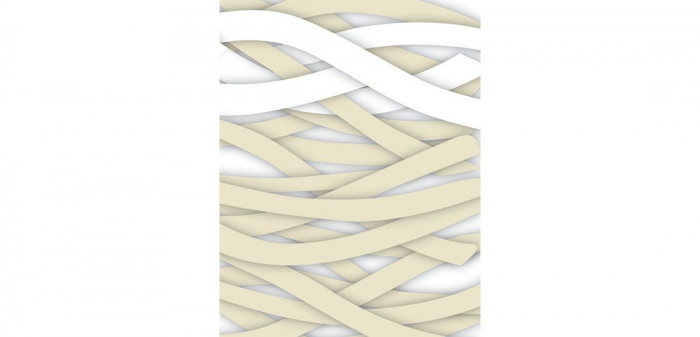 High Gelling Fiber Hyalo4, 10buc/cutie [3]